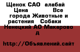 Щенок САО (алабай) › Цена ­ 10 000 - Все города Животные и растения » Собаки   . Ненецкий АО,Макарово д.